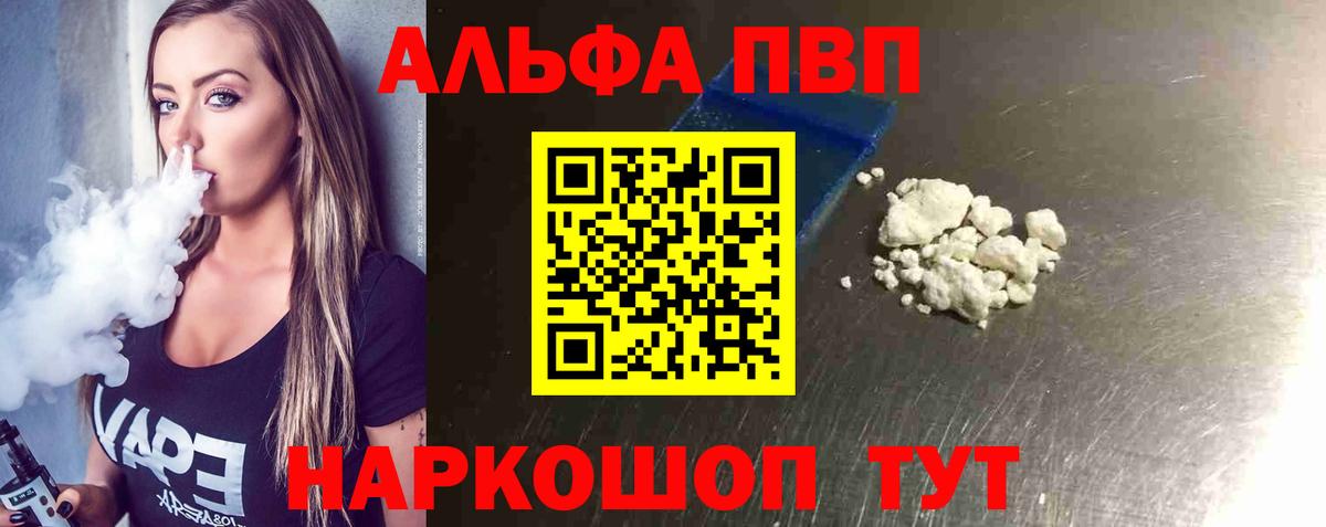 Alfa_PVP СК Гатчина