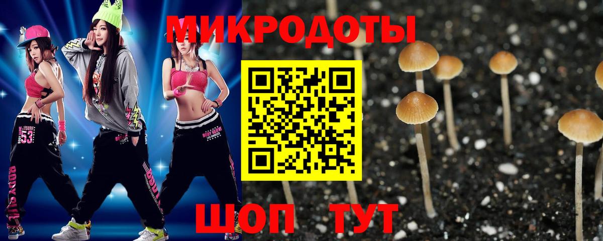 Гатчина  Галлюциногенные грибы MAGIC MUSHROOMS  Псилоцибиновые грибы Cubensis  Вход с VPN 