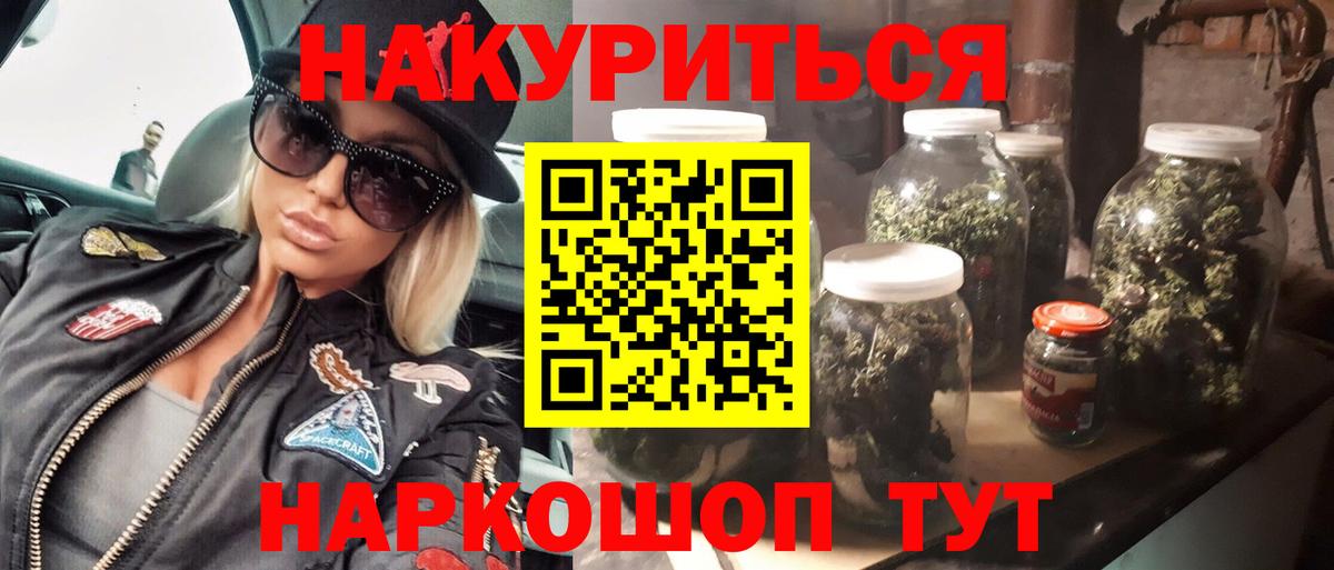 Каннабис сатива Гатчина